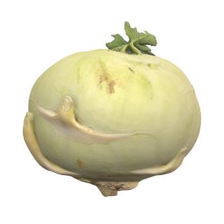 Kohlrabi 3D Scan Retopo